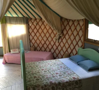 gite nature, hébergement insolite, nuit en yourte, nuit en cabane, séjour ressourçant, vacance nature, lieu ressource, chambre d'hôte, plantes médicinales, infusions, hydrolats, produits bien-être, tisanes, olfactothérapie, soin énergétique, vacance nature, vacance corrèze, éveil des sens, plantes et potions, Forêt apprivoisée, biodiversité, chant des oiseaux, brame du cerf, biches et chevreuils, insectes butineurs. Plantes aromatiques et médicinales, hébergements insolites, cabane et yourte, soins olfactif, plantes comestibles, ateliers d'éveil des sens, repas fleuris, bains de forêt, activités de cueillette et transformation. agriculture biologique, culture sur buttes, écotourisme, vente local, circuit court